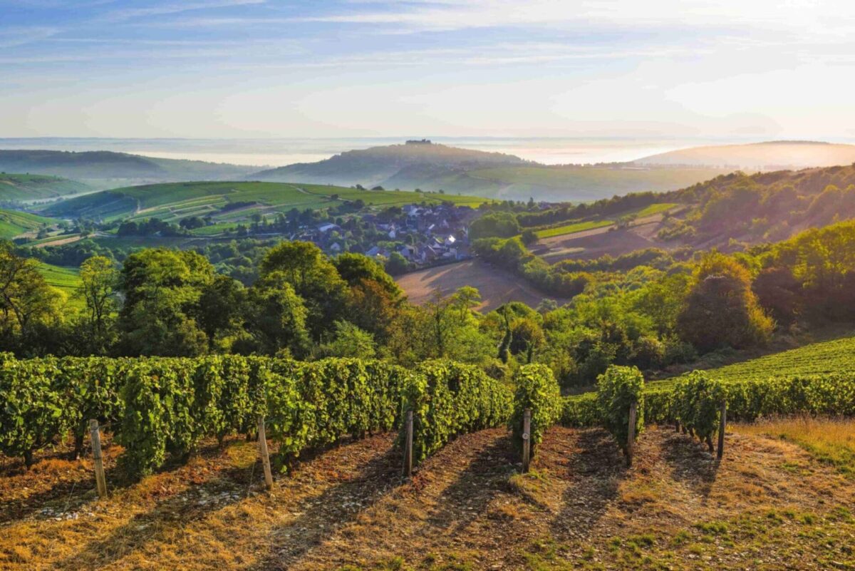 Sancerrois Office de tourisme Grand Sancerrois - Syndicat mixte Pays Sancerre ...