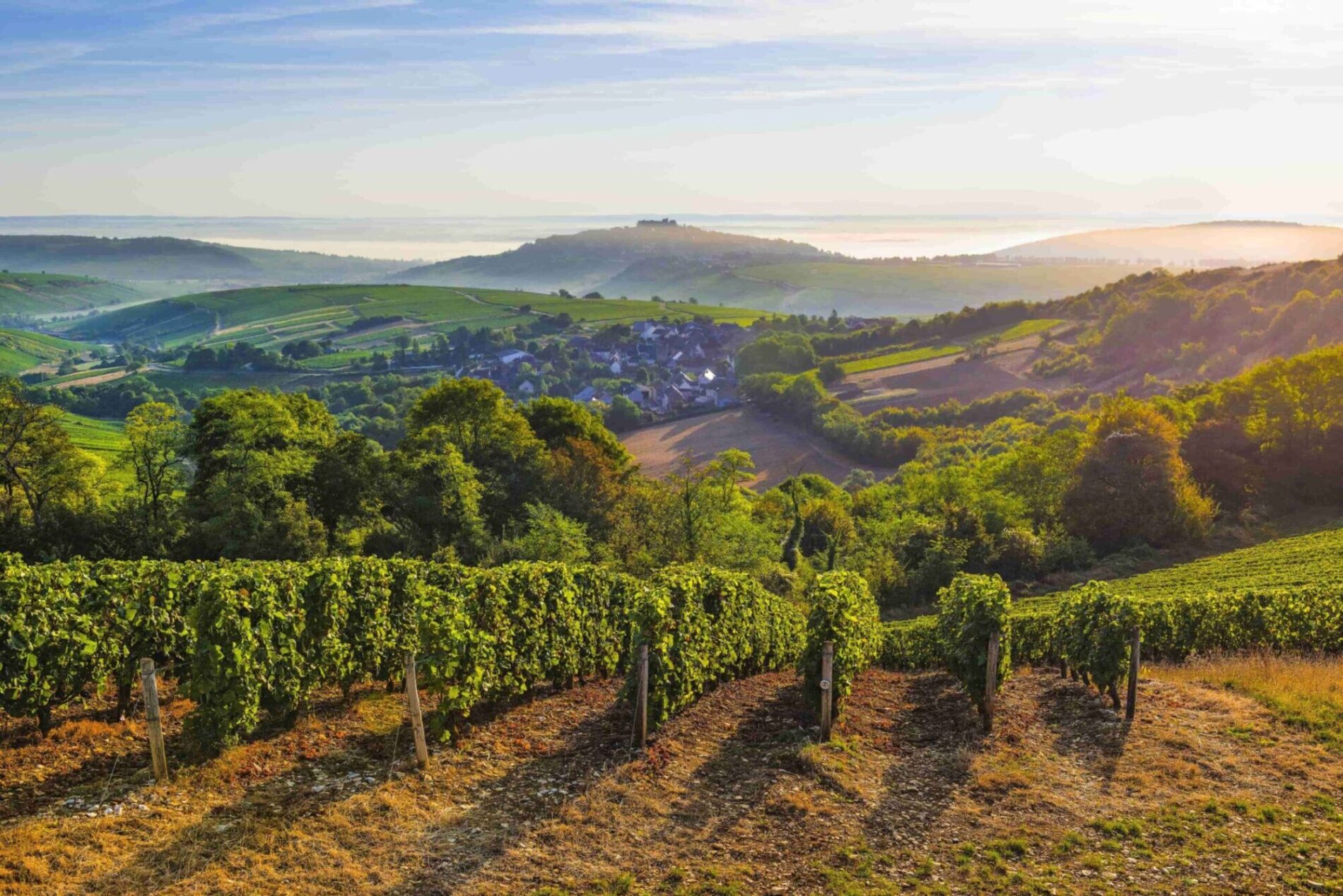 Sancerrois Office de tourisme Grand Sancerrois - Syndicat mixte Pays Sancerre ...